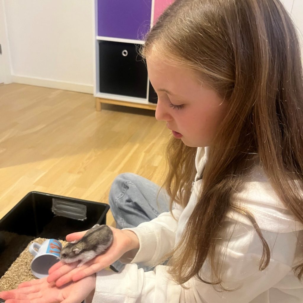 hamster med Bjørk_3